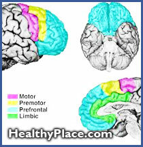 Document sur la psychopathologie des syndromes du lobe frontal et comment les problèmes de comportement liés aux lésions du lobe frontal conduisent à des troubles de l'attention et à d'autres problèmes.