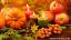 Conseils de récupération de dernière minute pour la survie de Thanksgiving