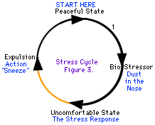 Certains cycles de stress sont plus faciles à parcourir que d'autres.