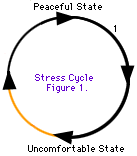 Le cycle du stress passe d'un état pacifique à un état inconfortable et revient à un état pacifique