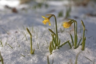 Pour la dépression, c'est formidable que le printemps soit là. L'air frais et le soleil peuvent aider à soulager la dépression, même si ce n'est que pour un petit moment. Apprendre