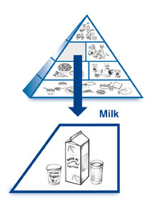 Pyramide de lait