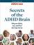Ressource gratuite d'experts: élucider les mystères de votre cerveau TDAH
