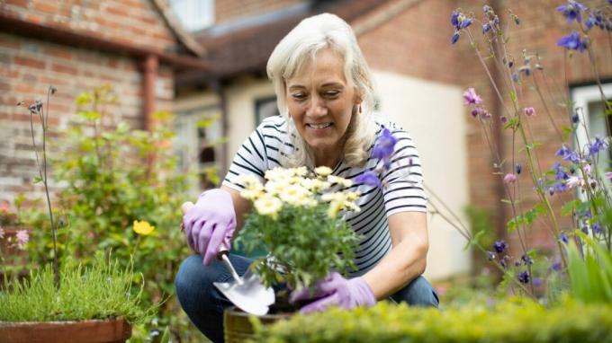 Personne agee, femme, empotage, plante, jardin, maison