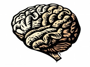 Un traumatisme affecte votre cerveau, mais la guérison du SSPT est plus probable que jamais. Découvrez comment le traumatisme affecte le cerveau et comment la neuroplasticité vous aide à récupérer. Lis ça.
